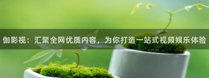 青苹果乐园yy4480