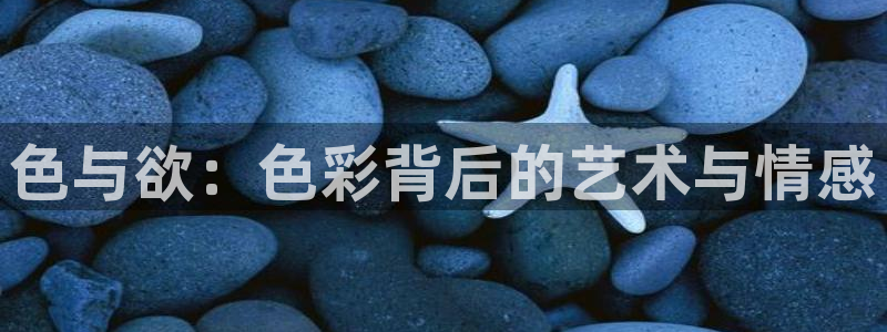 yy4480首播影院大全