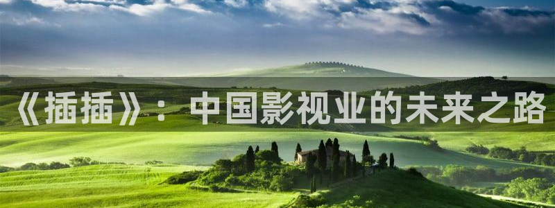 yy4480国产