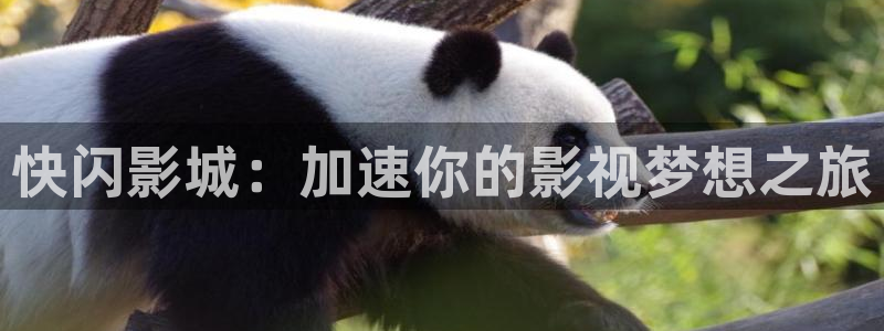 yy4480免费看电影