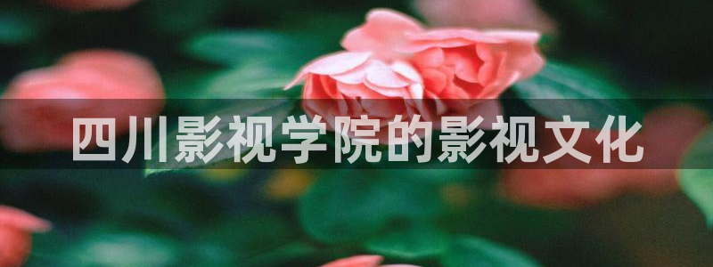 yy4480影视电视剧