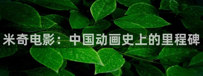 yy4480男人天堂