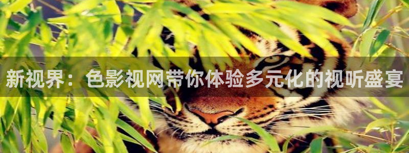 yy4480苹果影视